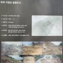 열녀권씨정려 | 향교-관아지-가림성.유태사묘.가림성느티나무-대조사-퇴수서원-간곡서원-동곡서원.안동권씨정려-윤이정려