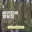 14. 가평 새와참새 캠핑장