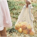 장바구니과일;야채