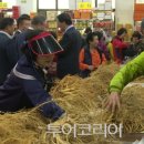 인삼홍삼코리아