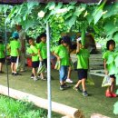 금반농장 이미지