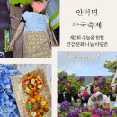 안덕청소년문화의집_1 (옥내1) | 안덕면사무소 수국 축제 수눌음 헌혈 건강 문화 나눔