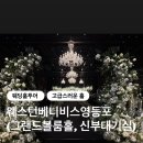 곡성나무펜션 세그루,네그루,다섯그루,여섯그루 | 웨스턴베니비스 영등포 단독홀 그랜드볼룸 및 신부대기실 투어 후기 (+26년도 리뉴얼 예정 내용도 있음)