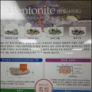 구피염색방 - 천안시 동남구 충절로 848 | 구피염색방