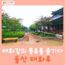 태화강풍류 이미지