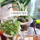 하이바틀 이미지