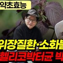 위장질환•소화불량 종결! 헬리코박터균 박멸 약초 이미지