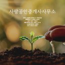 메타플렉스 이미지