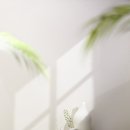 현대의원 이미지