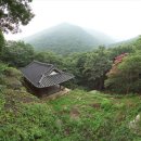 순천-25호 이미지