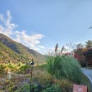 남해-233 | 남해 내산마을 카페 남해커피정원