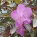 봄과가을이 이미지