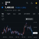 시연초