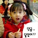 개와고양이 이미지