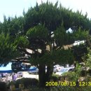 웅촌초등학교 이미지