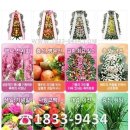 예일꽃화원 이미지