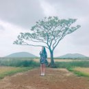 나의목장 2농장 이미지