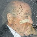 Blatter 이미지