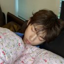 똥강쥐 네이버블로그