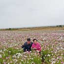 가파초등학교 이미지