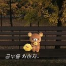 옷이야기 | 스무드무드,제니오,모도 후기 (일상과 옷이야기..)