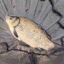 바위골 낚시터 이미지