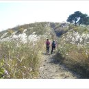 윤주호프 이미지