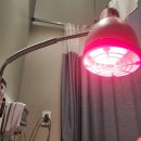 이을정형외과의원 | 허리 삐끗했을 때, 한의원 벌침과 정형외과 체외 충격파 리얼 치료 비교 후기