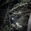 거창읍-24 이미지