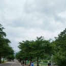 월매리(경북대부속학술림) | 2016 대구적토마팀 375 익스트림 챌린저 3일차