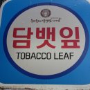 우리동네담뱃잎가게