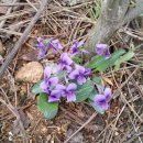 두원농장 이미지