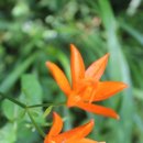 사도마을회관 이미지