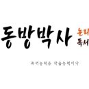 동방박사독서논술