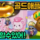 애플골드 이미지