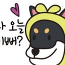 신동물병원 이미지