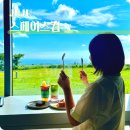 갤러리카페801 | 제주도 애월 오션뷰 예쁜 카페 9.81파크 제주 스페이스컵