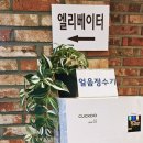 이레 스테이 이미지