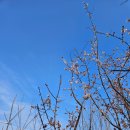 김미경행정사사무소 이미지