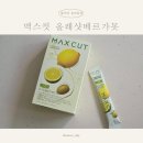 올레PC | 아침 공복 올리브유 루틴, 올레샷베르가못 실사용 후기