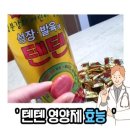 텐텐 이미지