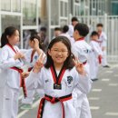 경희대 마린 태권도 이미지