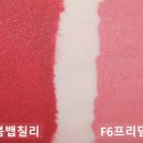 레드포인트 레코드 이미지