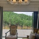 블랙트리 하우스 이미지