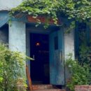 도토리(dotori) 이미지