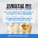 퍼즐치과기공소 이미지