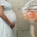 루다제이 이미지