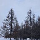 제이제이글로벌 | 이츠비 레이샷 함은정 픽셀라이트 요철 순삭 후기, 추운 겨울 날씨로 푸석해진 피부 되살리기