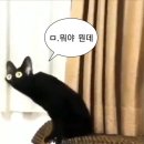 한밭수영장 이미지