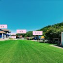 양양 발렌타인 애견펜션 이미지